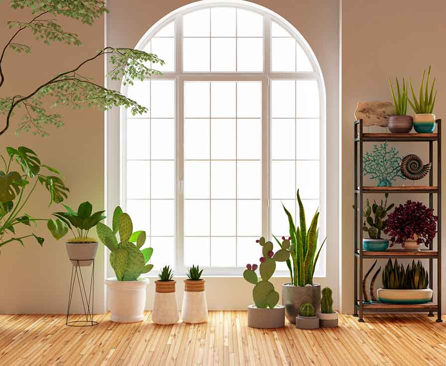 Trendy Houseplants To Complement New Furniture