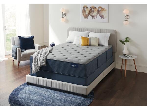 Edenvale Plush Mattress by Mattress 1st California King Mattress 1st 8