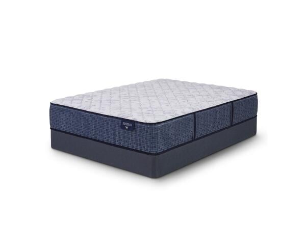 Emsworth Extra Firm Mattress Extra Firm Back Sleeper