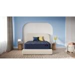 Ferdinand Medium Hybrid Mattress California King All Position 9