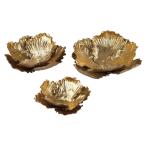 Organic Dimensional Wall Art - Set Of 3